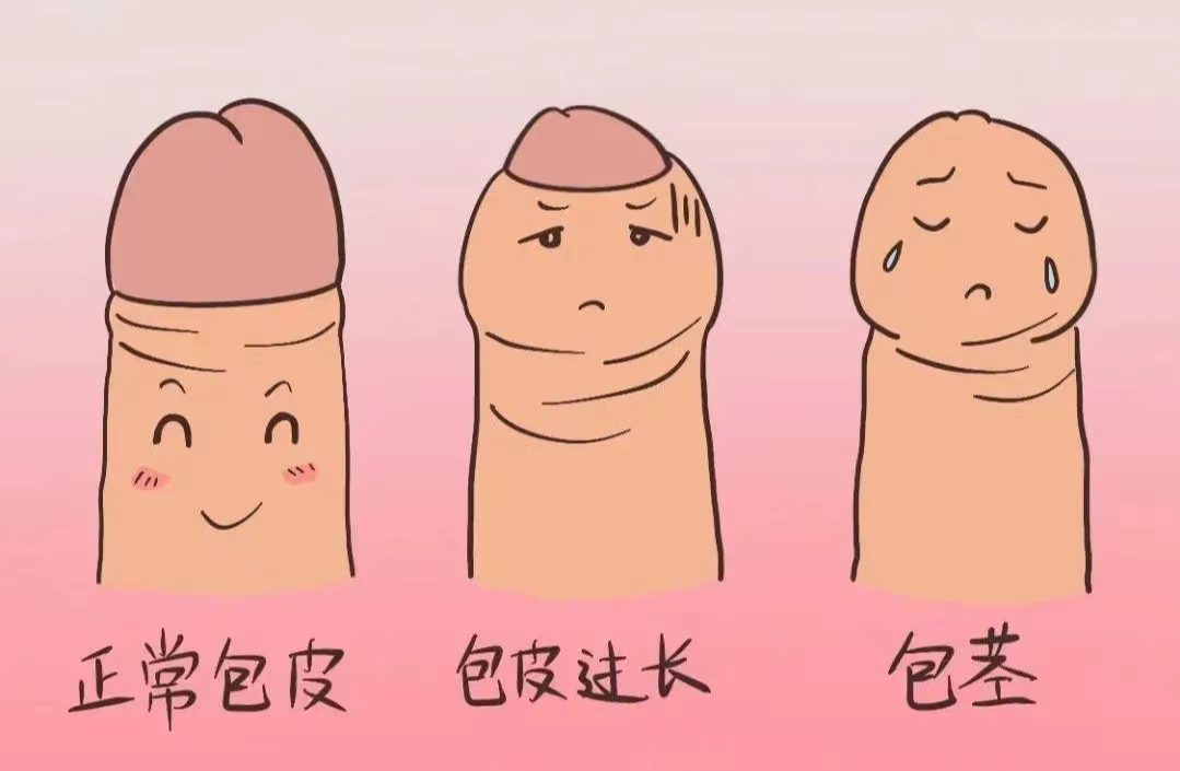 1719821001424121.jpg 微信图片_20240701154112.jpg