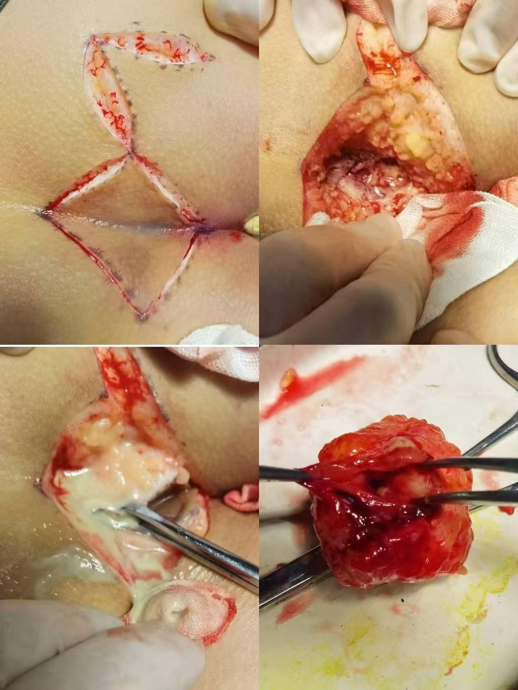 1723713389416031.jpg 微信图片_20240815154336.jpg